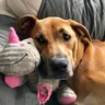 Maggie
